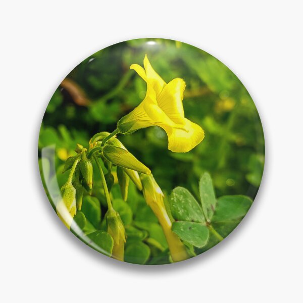Item preview, Yellow designed and sold by Italynature.