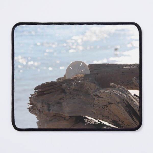 Item preview, Sand dollar on a piece of driftwood designed and sold by Lexipooh76.