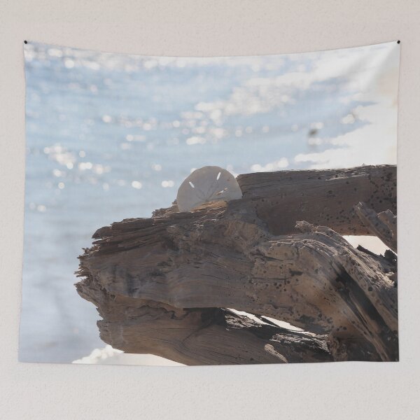 Item preview, Sand dollar on a piece of driftwood designed and sold by Lexipooh76.