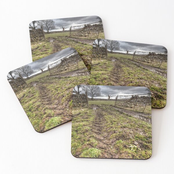 Item preview, Tracks designed and sold by Paul Thompson Photography.