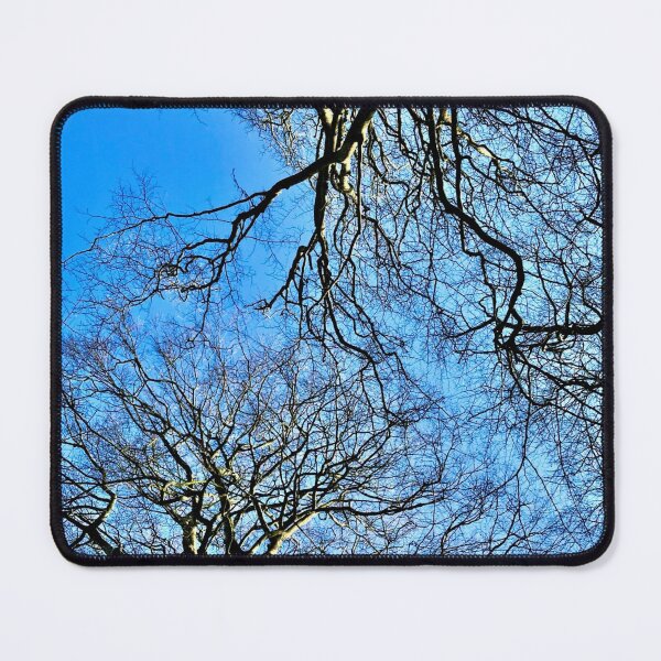Item preview, reaching for the blue sky designed and sold by 1andydesign.