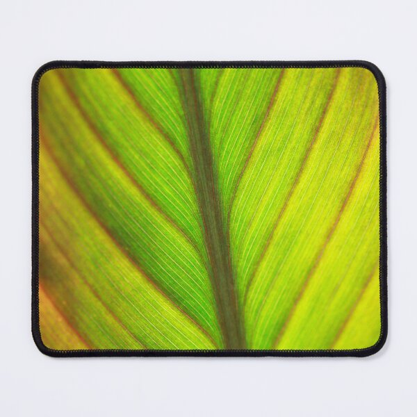 Item preview, Green autumn leaf on nature background designed and sold by olena2552.