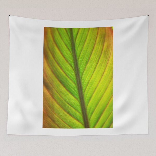 Item preview, Green autumn leaf on nature background designed and sold by olena2552.