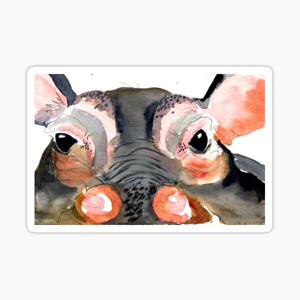 Hippo Sticker