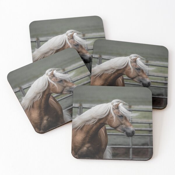 Item preview, Beautiful Palomino Haflinger stallion  designed and sold by PonyPortrait.