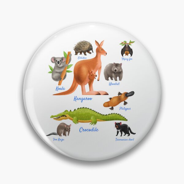 Item preview, Animals of australia | australian animals educational designed and sold by Deco-Design.