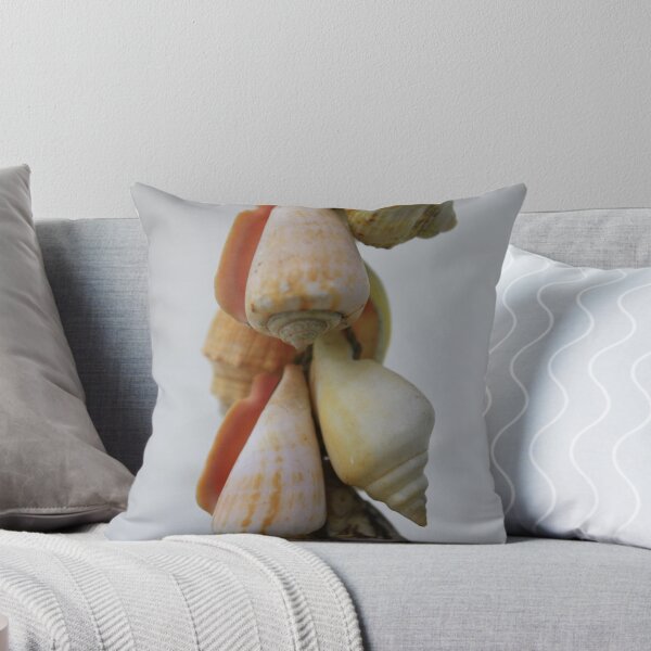 Item preview, Shells designed and sold by jphenfrey.