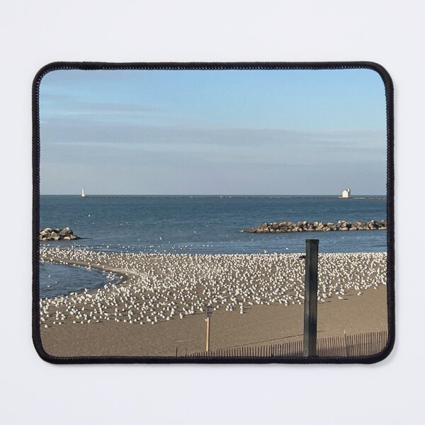 Item preview, Lake Erie in Winter designed and sold by J. Robin Whitley.
