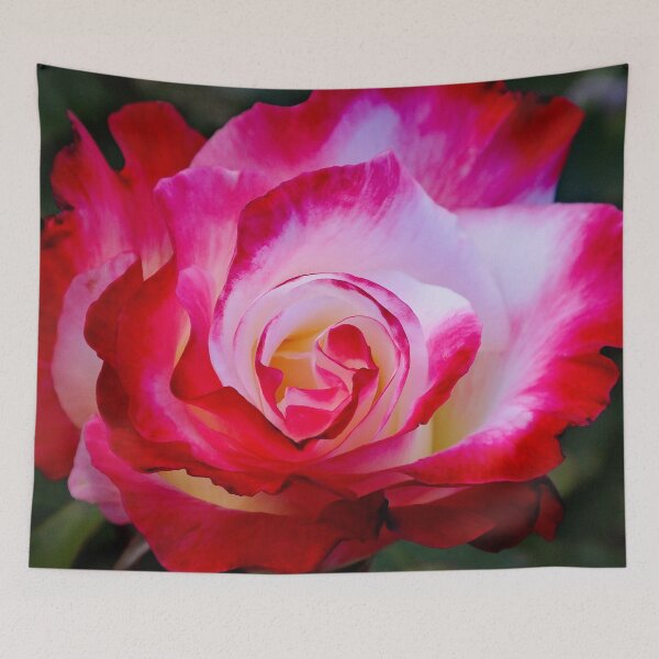 Item preview, Rose II designed and sold by Maxiverse.
