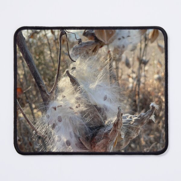 Item preview, Cottonwood at Lake Erie designed and sold by J. Robin Whitley.