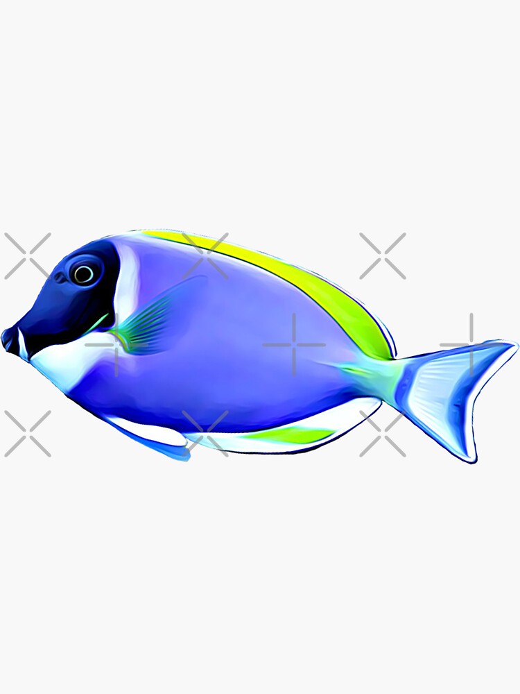 Powder Blue tang saltwater reef fish Sticker for Sale by AngryOcean