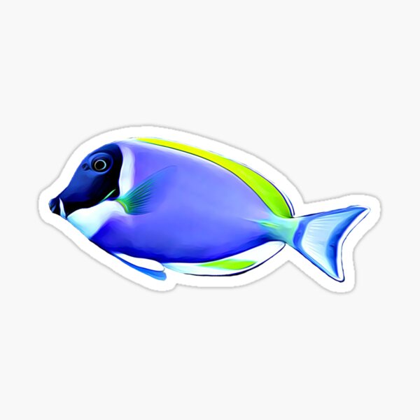 Powder Blue tang saltwater reef fish Sticker