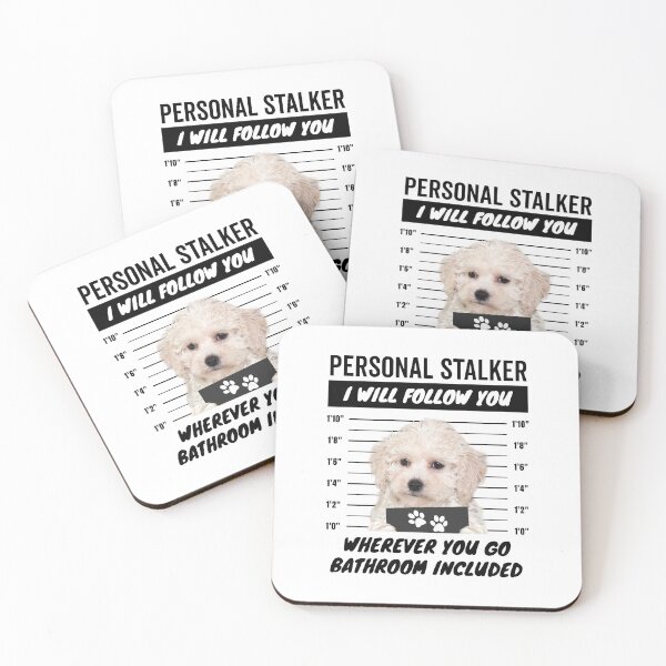 Item preview, Personal Stalker Dog – White Maltipoo designed and sold by More Cute Dogs.