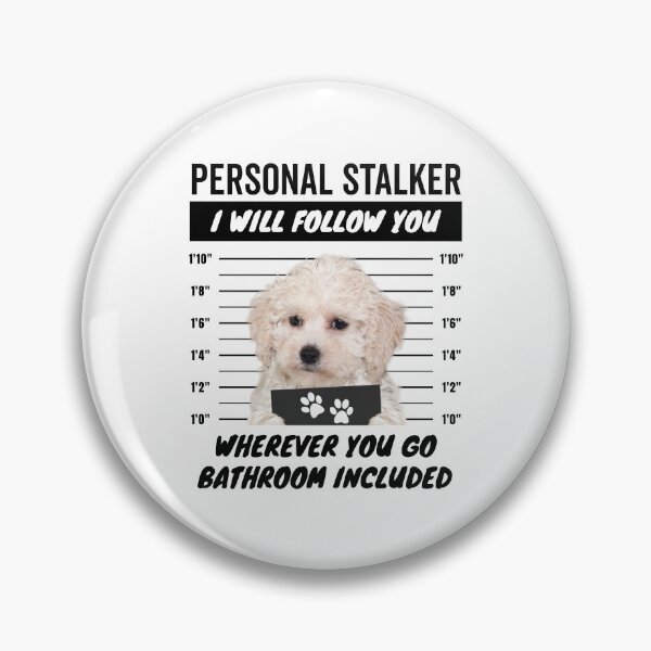 Item preview, Personal Stalker Dog – White Maltipoo designed and sold by More Cute Dogs.