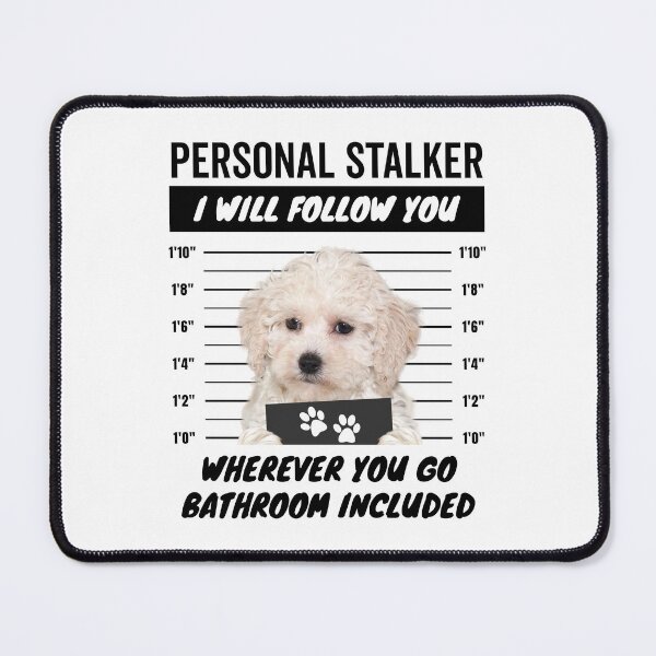 Item preview, Personal Stalker Dog – White Maltipoo designed and sold by More Cute Dogs.
