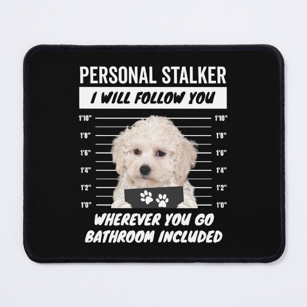 Item preview, Personal Stalker Dog – White Maltipoo designed and sold by More Cute Dogs.