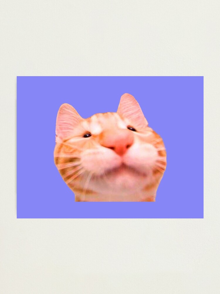 meme del gato de shrek sorprendido｜Búsqueda de TikTok