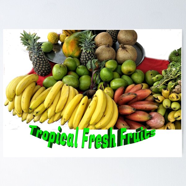 Tropical Fresh fruits Poster