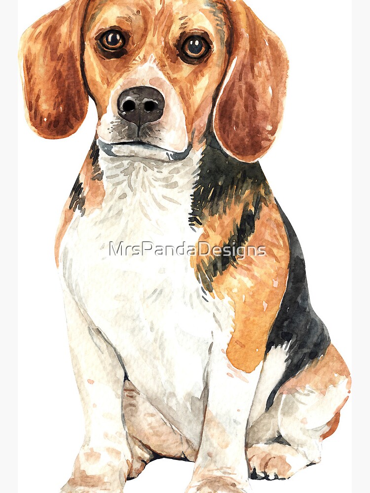 Beagle Hound Dog in Flat Cap Prints 5x7 and 8x10 Poster Scent 