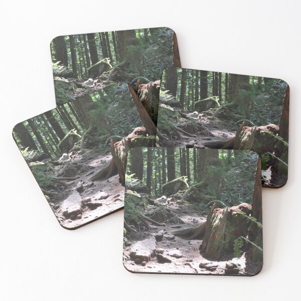 Item preview, Sunlit Forest Trail designed and sold by KirtTisdale.