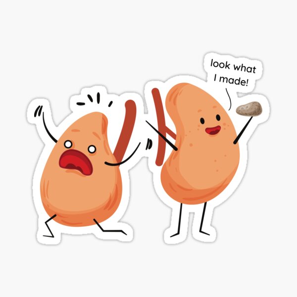 "Kidney Stone Medical Humor" Sticker for Sale by NiftyNoggin Redbubble