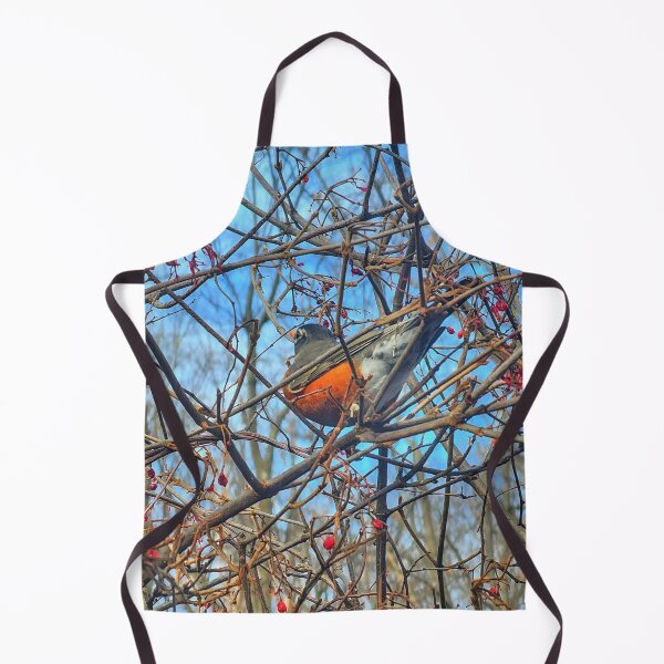 Item preview, Sunny Skies for this Bold Robin! designed and sold by SXW Designs.