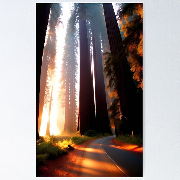 Item preview, Redwoods National Park Nature Travel California designed and sold by CattlettArt.