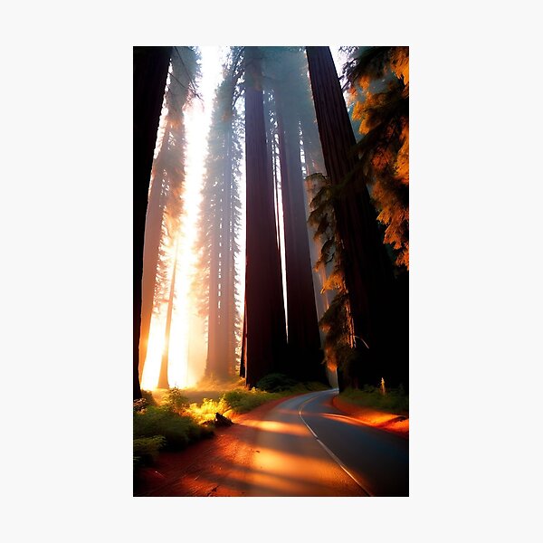 Item preview, Redwoods National Park Nature Travel California designed and sold by CattlettArt.