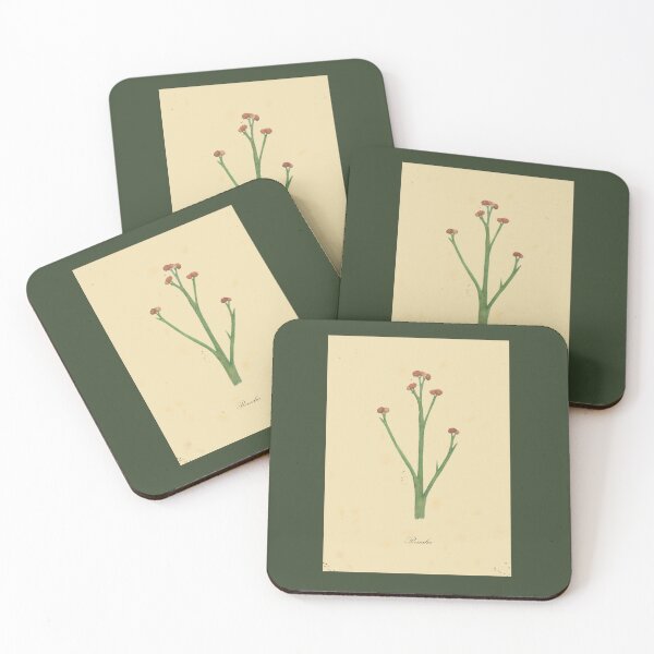 Item preview, Renalia, watercolor of a devonian plant designed and sold by SharonRoseR.
