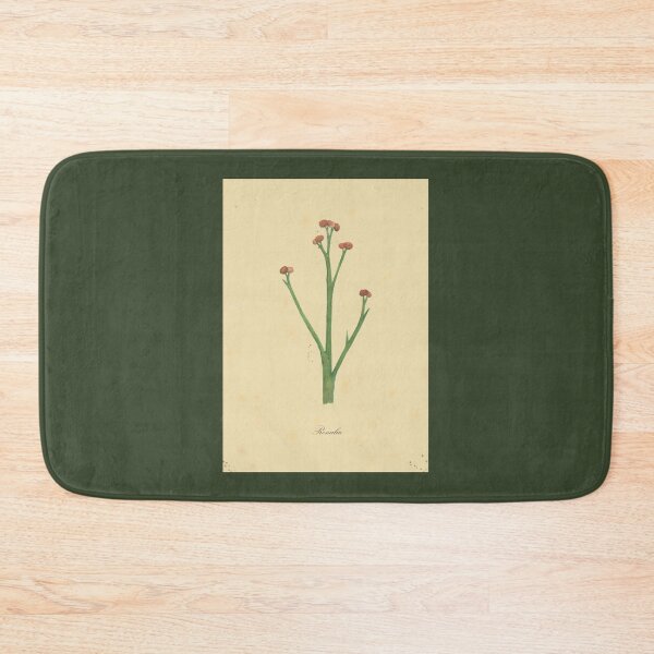 Item preview, Renalia, watercolor of a devonian plant designed and sold by SharonRoseR.