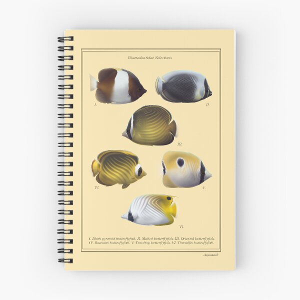 Item preview, Chaetodontidae Selections designed and sold by aquatark.