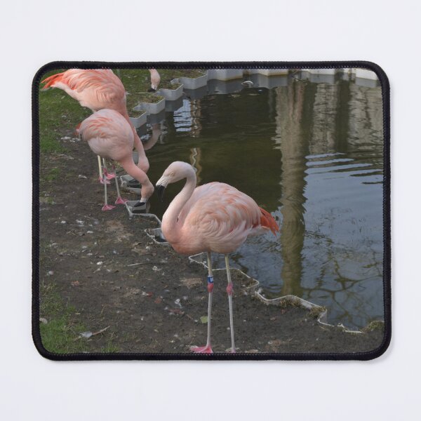 Item preview, Beautiful, Gorgeous Pink Flamingo  designed and sold by JLFXCreations.