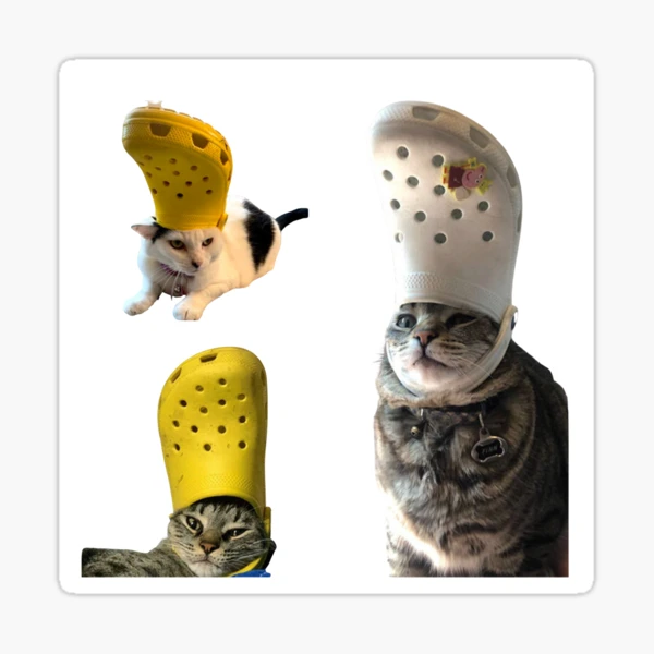 Crying Cat Croc Meme Art Board Print for Sale by bgsmall