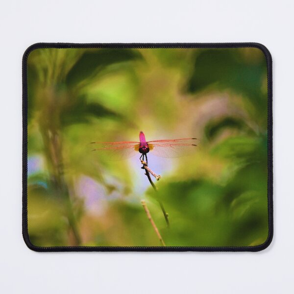 Item preview, Dragonfly on a Stick 5 designed and sold by Fitra  Arts.