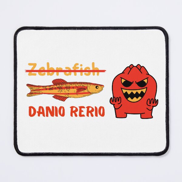 Item preview, Zebrafish Danio rerio. designed and sold by Rowbic.