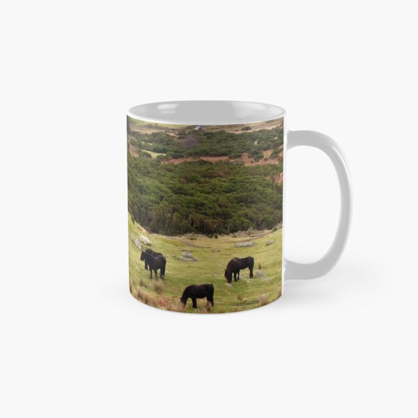 Item preview, Cumbrian Fell Ponies designed and sold by AngelaKirby.