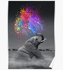 Wahre Farben im Inneren Poster