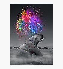 True Colors Within Photographic Print