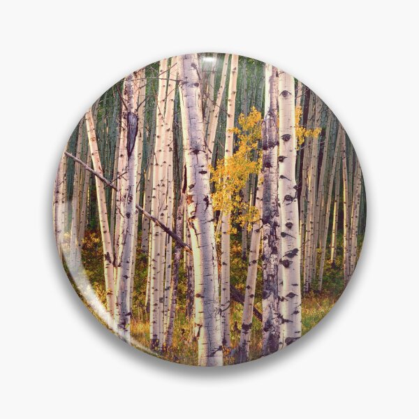 Artikelvorschau, Wunderschöne Herbstlandschaft im Laubwechsel-Aspenhain entworfen und verkauft von Rocky Mountain Artistry.