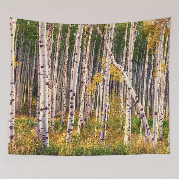 Item preview, Aspen grove in autumn 2 designed and sold by Rocky Mountain Artistry.