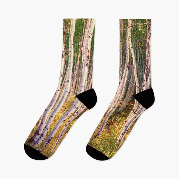Item preview, Aspen grove in autumn 1 designed and sold by Rocky Mountain Artistry.