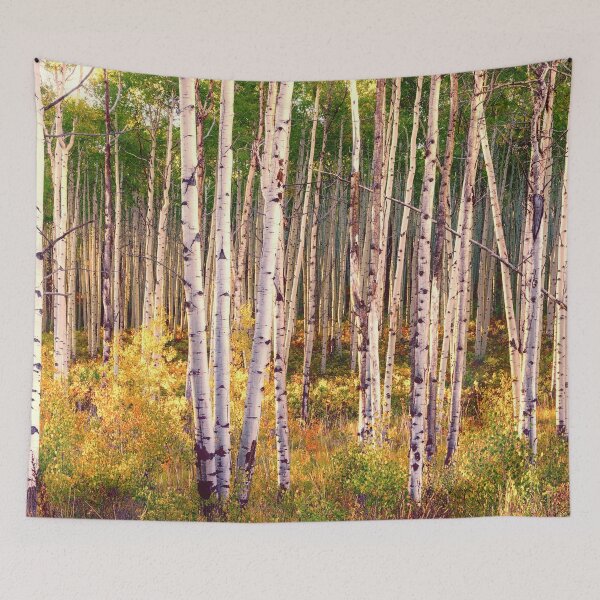 Item preview, Aspen grove in autumn 1 designed and sold by Rocky Mountain Artistry.