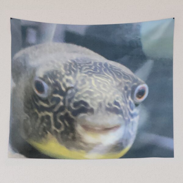 Item preview, Funny Fish designed and sold by emmap26.