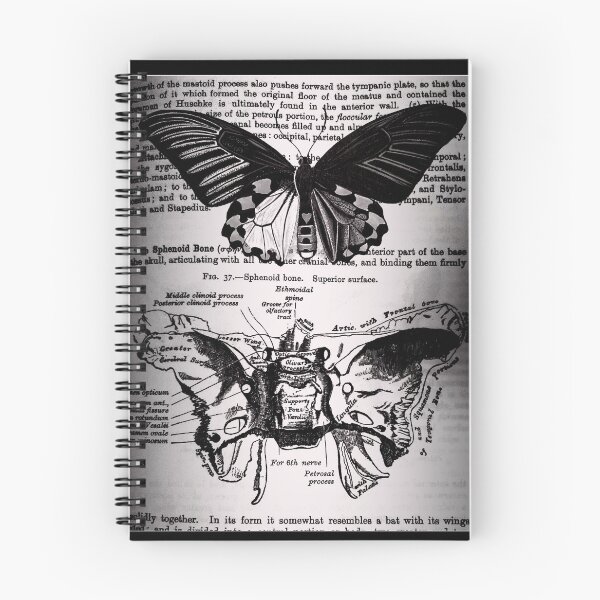 Item preview, Moth Bones designed and sold by opticill.