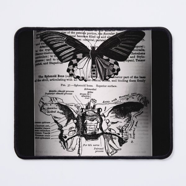 Item preview, Moth Bones designed and sold by opticill.