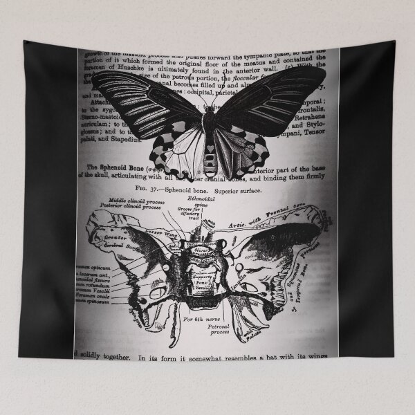Item preview, Moth Bones designed and sold by opticill.