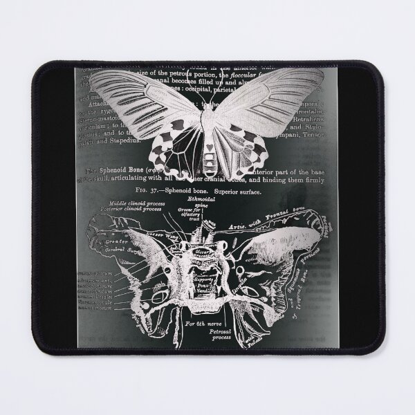 Item preview, Moth Bones [Alt] designed and sold by opticill.