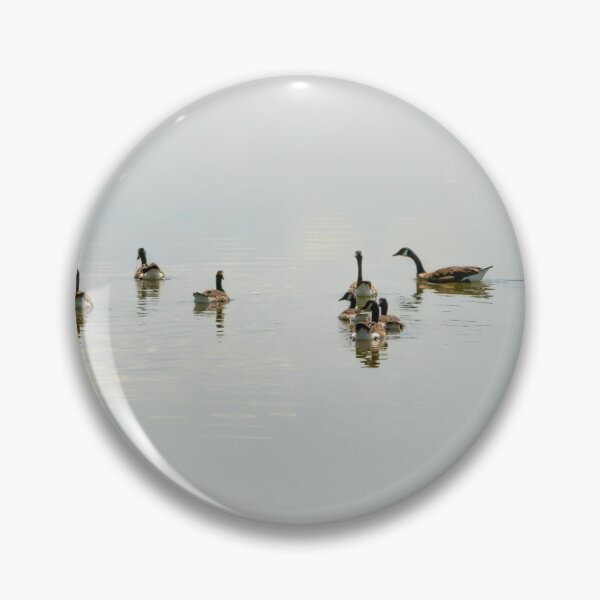 Item preview, Photo of a group of Canadian geese designed and sold by artbymisterfatz.