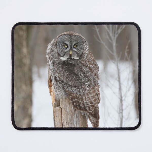 Item preview, The Staredown designed and sold by locustgirl.