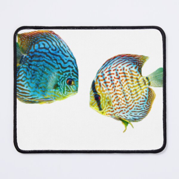 Item preview, Discus fish designed and sold by MilicaaD.
